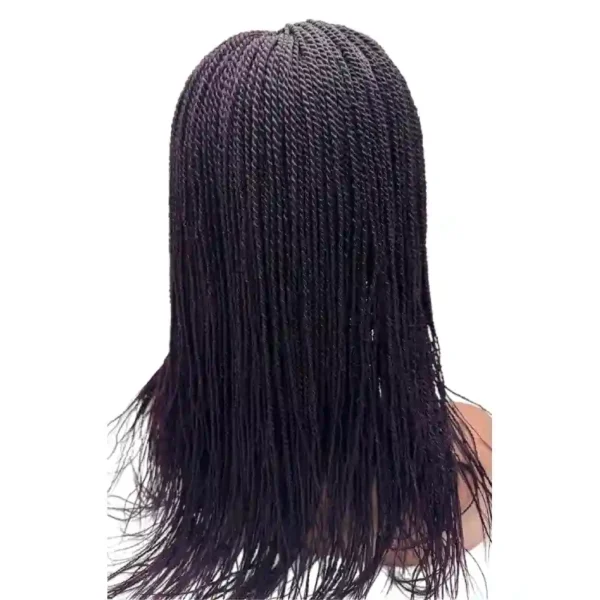 Micro Twist Braids